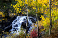 Autumn Falls - Lee Vining Creek