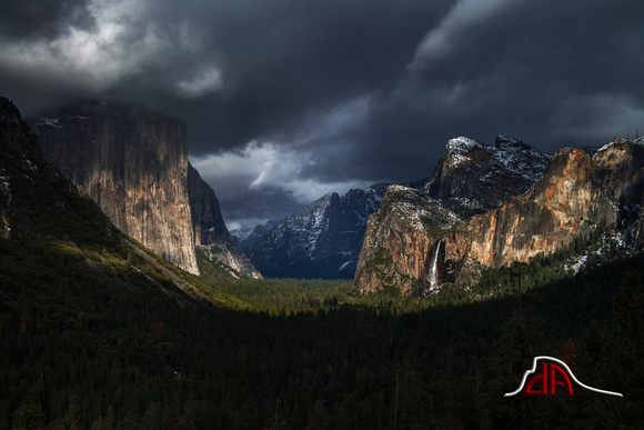 Contrasts - Yosemite National Park