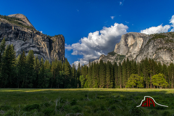Stoneman Meadow - Yosemite National Park