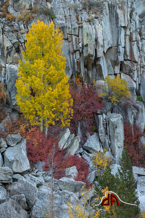 A canvas of Granite - Bishop Creek Canyon