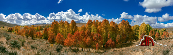 Autumn Aspen Grove - Large Panorama