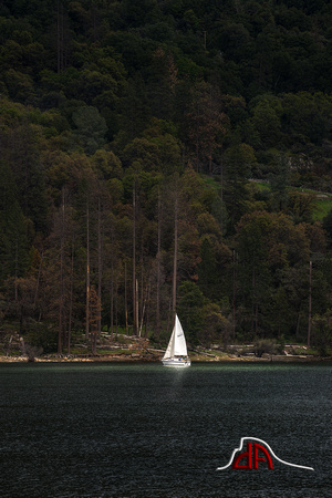 Sailing Bass Lake