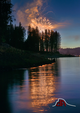 Forest Fire - Bass Lake Fireworks 2014