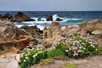 Flowers and Surf - Pebble Beach California