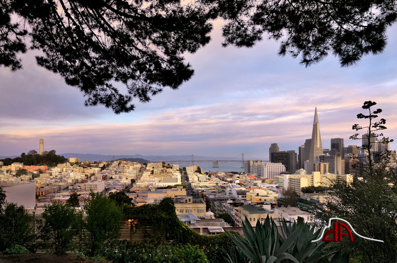 Vista of San Francisco's Skyline