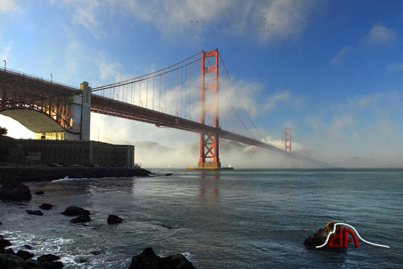 Soaring High above the Golden Gate Bridge