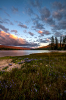 Featured Images