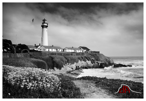Pelican and Pigeon Point Lighthouse