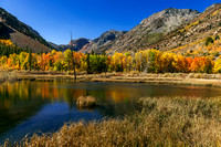 Autumn on the Beaver Pond - Lundy Canyon